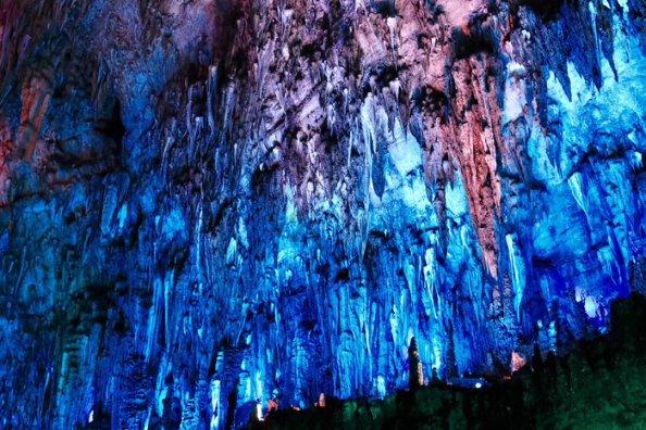 【新春走基层】龙岩市妇联领导一行来莲开展走访慰问调研活动